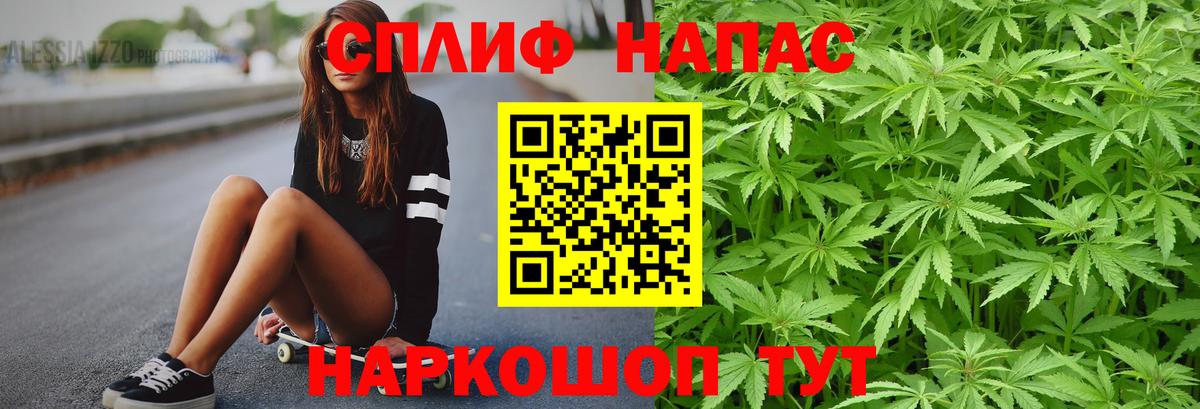 Каннабис тримм  Каннабис сатива  Вход с VPN  Балашов 